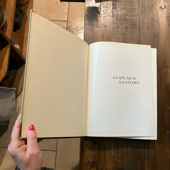 Grant's Atlas of Anatomy - 6th Edition - Vintage 1972 Illustrated Medical Book - Picture 15 of 16